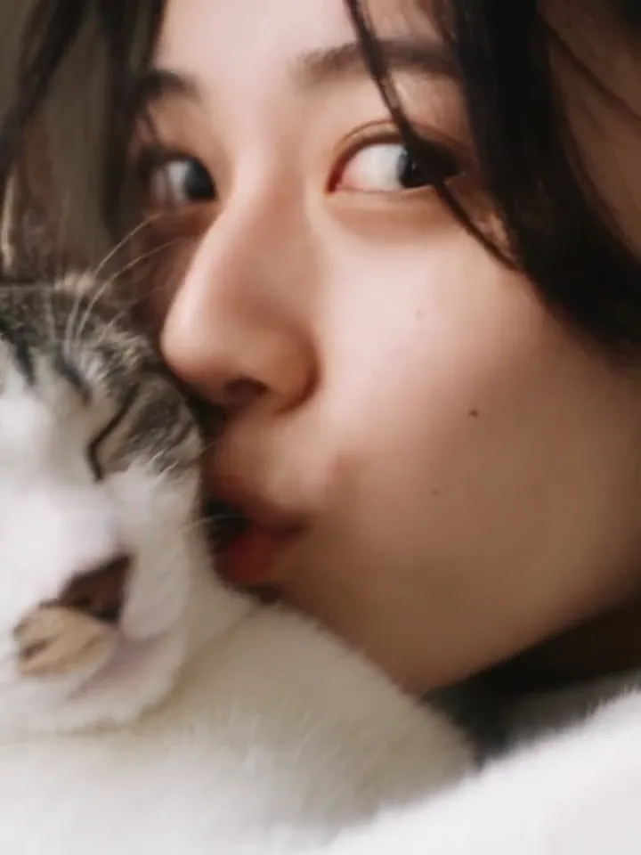 Kedi Yumruğu